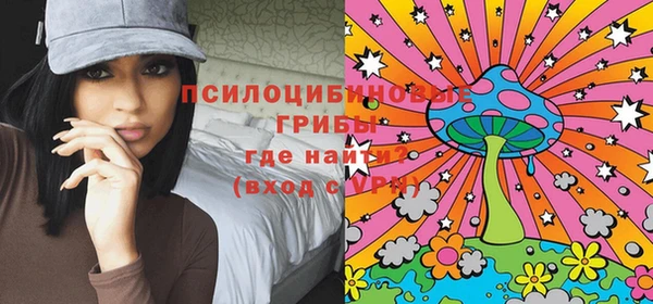 сатива Лихославль
