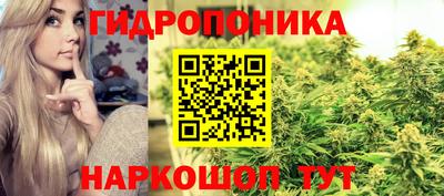 прущие крисы Балашиха