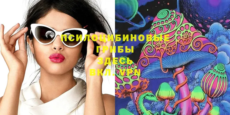 Галлюциногенные грибы Magic Shrooms  Тольятти 